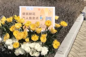 换个方式祭清明 “1元鲜花自助”悄然兴起视频封面