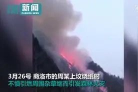 清明节“拒绝明火，文明祭扫”，你能做到吗？视频封面