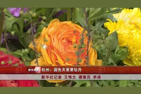 杭州：国色天香赏牡丹视频封面