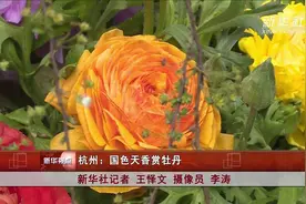 杭州：国色天香赏牡丹视频封面