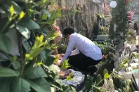 撤诉后首度现身，林生斌清明祭扫妻儿视频封面