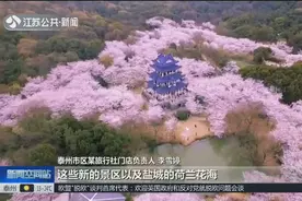 清明假期去哪玩？，这些旅行景点人气高涨，成为游客“打卡地”！视频封面