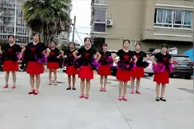 凤凰姐妹开心老杨广场舞《苗乡侗寨请你来》