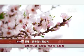 新疆：新杏花村景色美视频封面