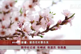 新疆：新杏花村景色美视频封面
