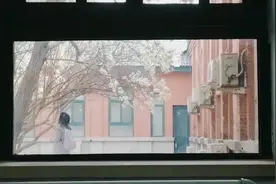 追美春光丨春意正好！校园春色美视频封面