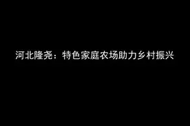 河北隆尧：特色家庭农场助力乡村振兴视频封面