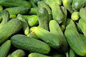 夏天越吃越白的6种蔬菜，今天你吃了吗，可以清热解毒，帮助消化图片