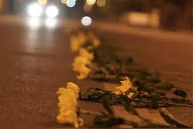 封面阅壹周第三十五期｜泪别！痛悼凉山木里火灾“逆行者”们视频封面