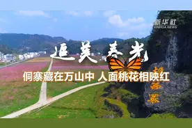 追美春光丨侗寨藏在万山中 人面桃花相映红视频封面