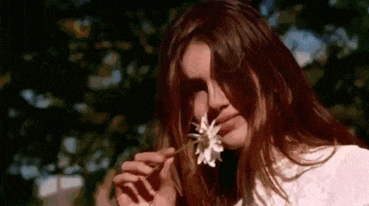 雅顿含羞草身体乳测评