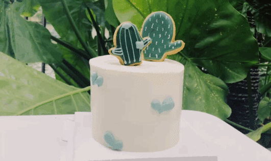 这些关于绿植的谣言，骗了你多少年？