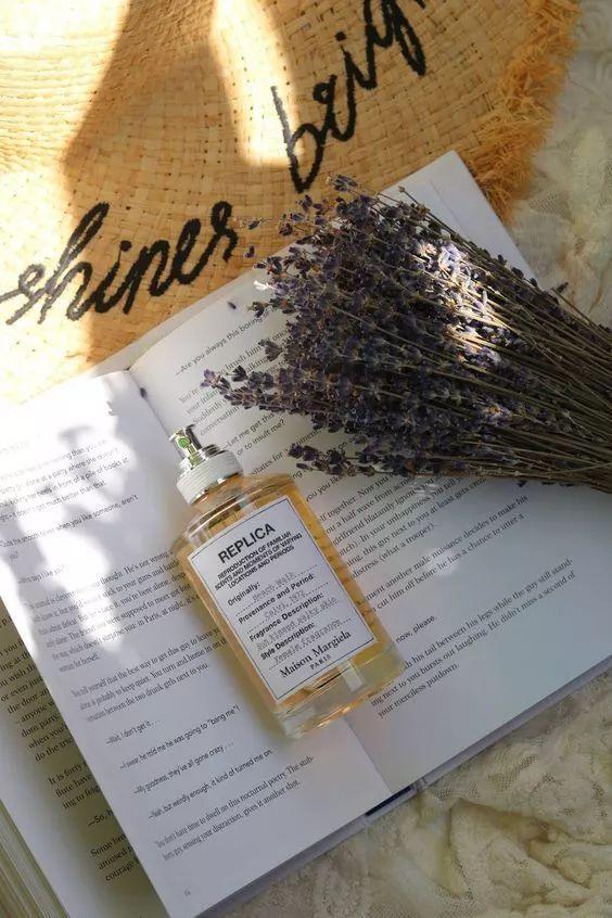 雅顿含羞草身体乳测评