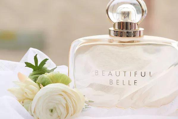 雅顿含羞草身体乳测评