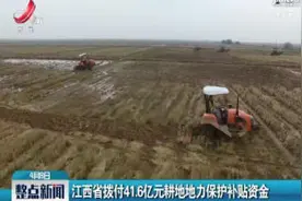 江西省拨付41.6亿元耕地地力保护补贴资金视频封面