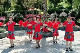 教师新村何姐广场舞《开门红》