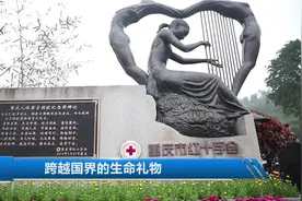 澳大利亚小伙去世一年，却把生命延续在他热爱的中国视频封面
