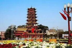【投票】“美味张掖”网络抖音美食评选火爆进行图片