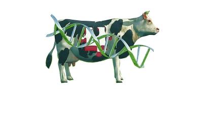 “人造肉”能替代传统肉类吗？