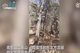 天天防火呀，不要抽烟昂！东北味魔性森林防火宣传录音悄然走红！视频封面