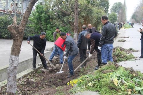 旌阳区柏隆镇人大代表扎实推进污染防治工作