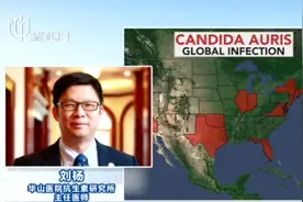 致命超级真菌引发市民恐慌，通过什么途径传播？易感人群有哪些？视频封面