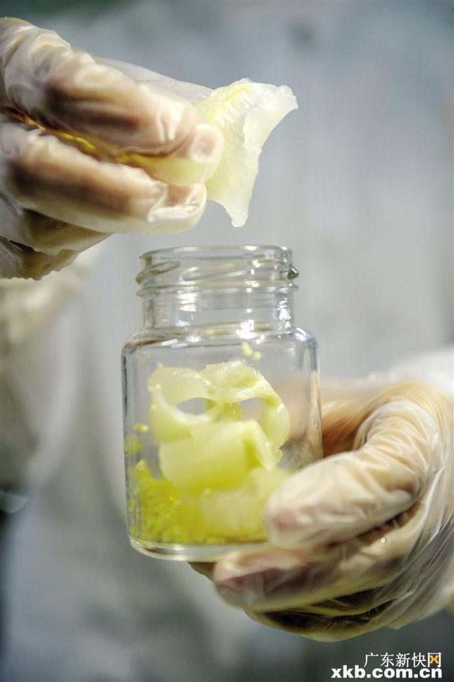 鱼胶即食燕窝效果怎么样 2025年鱼胶即食燕窝怎么吃