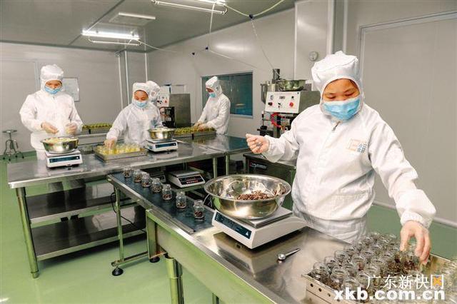 鱼胶燕窝牛奶一起吃的功效 2026年鱼胶燕窝牛奶一起吃的功效是什么