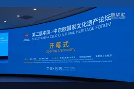 12国代表齐聚古都  共商文化遗产领域合作视频封面