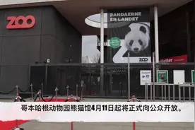 又有国宝去驻外了，任期15年！视频封面