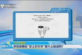 雨后的清新不是泥土味？专家：和土无关，是细菌在新陈代谢视频封面