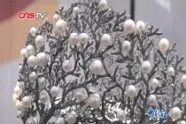 探访“中国珍珠之乡”山下湖镇 全球73%淡水珠从这里产出视频封面