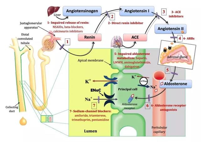 注意！这些药物可以导致血钾升高