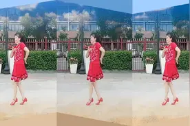 湖北襄阳姐妹广场舞《梦中花》视频封面