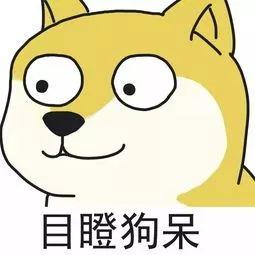 复数实轴和虚轴是什么