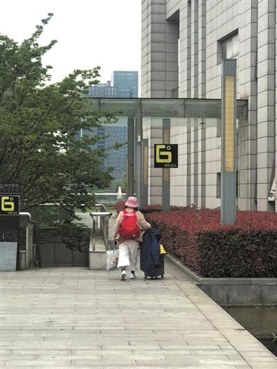 胶藤花 2026年最新胶藤花