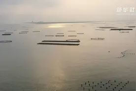 航拍：几何图形拼成“海洋牧场”视频封面