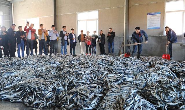 鱼蛋白肥料厂家排名 2026年鱼蛋白肥料厂家前十名