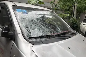 14岁男孩坠楼砸中楼下汽车 家人全然不知视频封面
