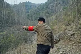 杠上一座山！农民包山种树20年难变现视频封面