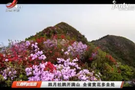 四月杜鹃开满山 全省赏花多去处视频封面