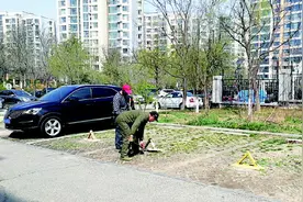 青岛金家岭街道整治东城国际南区 拆除地锁让车位真正实现共享图片