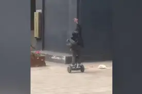 男孩拿板砖砸流浪猫淡定离开，家长致歉