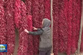 聚力脱贫攻坚，我县力争今年再脱贫退出2100人视频封面
