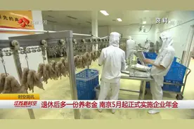 退休后多一份养老金！南京5月起正式实施企业年金视频封面