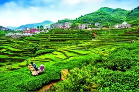 古韵同安 领略千年古城新风采图片