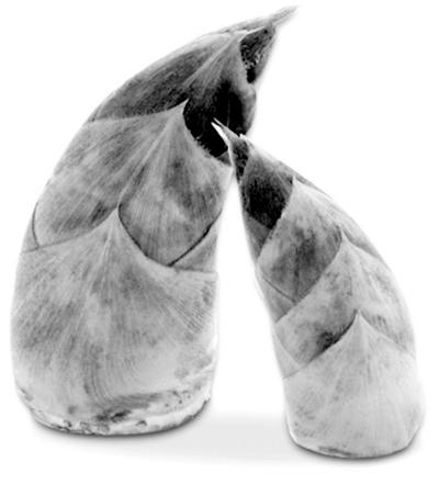 吃春笋损胃肠？这么吃才好