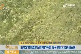 山东发布高森林火险橙色预警，部分林区火险达到五级，形势严峻视频封面