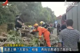 沪昆高速新余段：高速上俩“大家伙”相撞 两吨甘蔗堵住了救护车视频封面