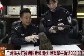 法网恢恢！广州海关打掉跨国走私团伙，涉案犀牛角达333.8千克视频封面